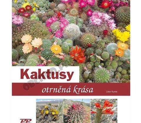 Kaktusy