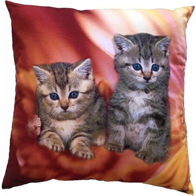 Dadka FotoVankúš Mačiatka v ohni 40x40