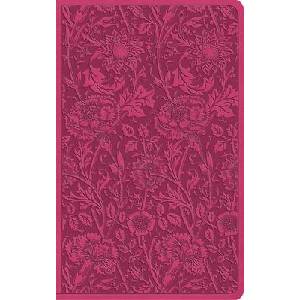 ESV Vest Pocket New Testament with Psalms and Proverbs, Red Letter (ISBN: 9798874907396)