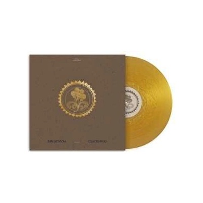 Mary Lattimore: Collected Pieces: 2015–2020 LTD CLR LP