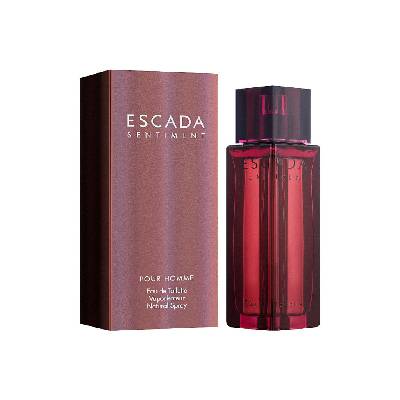 Sentiment Pour Homme EdT 100 ml