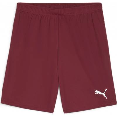 Puma teamGOAL Training