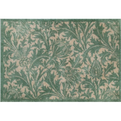 Turtle Mat Absorpčná rohožka do domácnosti Thistle Green 60 x 85 cm