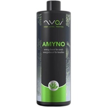 Nyos Amyno 100 ml