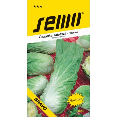 Semo Čekanka hlávková zelená - Pan di Zucchero Bravo 0,3g