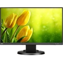 NEC E221N