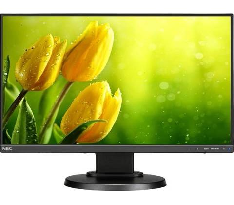 NEC E221N
