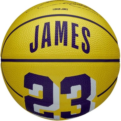 Wilson NBA Player Icon Lebron