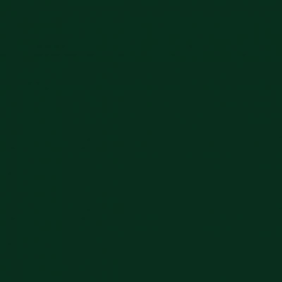 Derwent Procolour 44 Racing Green