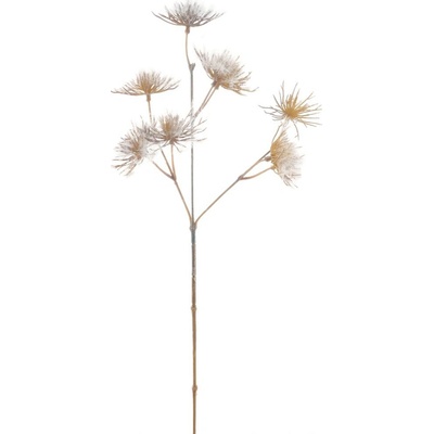 Mrkev obecná (flocked) hnědá V62 cm