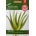 Agrosel Семена за Алое Вера Aloe vere