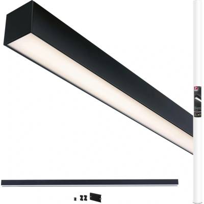 Paulmann 98169