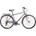 Olmo Borgo (2024)