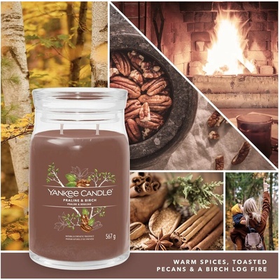 Yankee Candle Praline & Birch signature 567 g