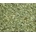 Grešík Eukalyptus list 50 g
