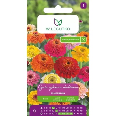 W. Legutko Елегантен микс от скабиози