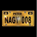 Nagy Peter - 008 LP