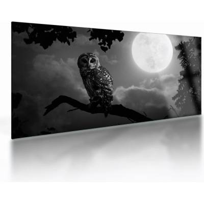 Sklenený obraz - Nočná sova, čiernobiela, jednodielne 100x50 cm na skle