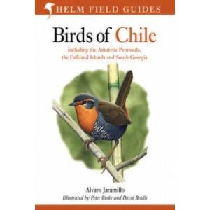 Birds of Chile | Alvaro Jaramillo, Peter Burke (2003)