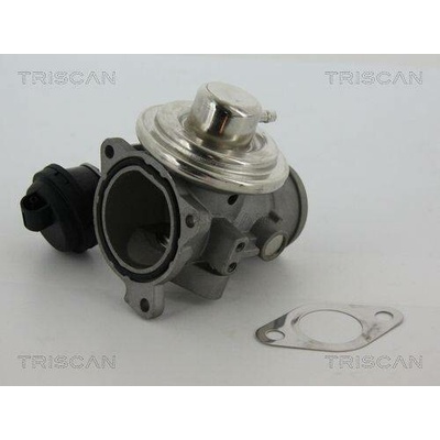 AGR-Ventil TRISCAN 8813 29057 (881329057)