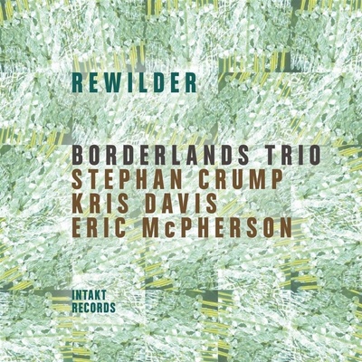 Borderlands Trio Rewilder 2 CD