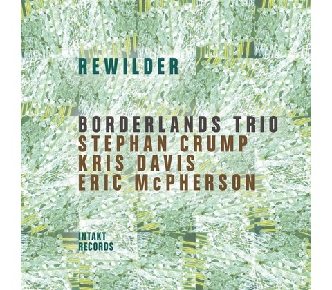 Borderlands Trio Rewilder 2 CD