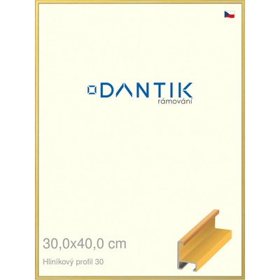 DANTIK rám na obraz 30 x 40 Dýha barevná žlutá
