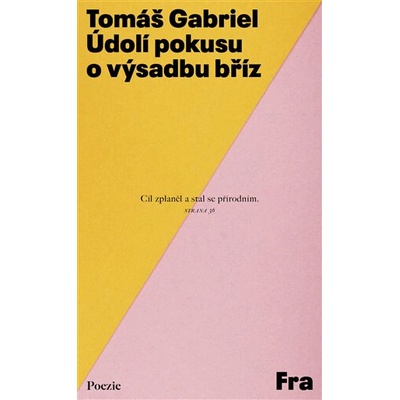 Údolí pokusu o výsadbu bříz - Tomáš Gabriel