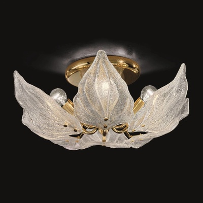 Novaresi 12000/6 gold clear