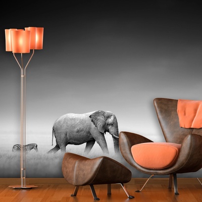 Tapeta SABLIO Slon a zebra, rozměry 336x220 cm