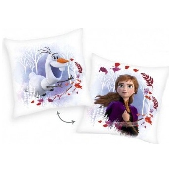 Herding Obojstranný vankúš Disney Frozen 2 40x40