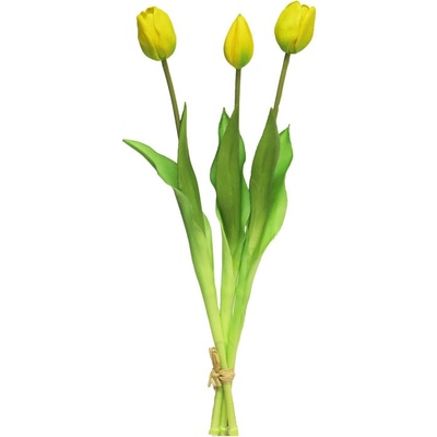 Tulipán - Tulip Sally květ x3 zlutý V44 cm