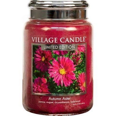 Village Candle Autumn Aster 602 g