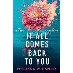 It All Comes Back to You | WIESNER MELISSA (ISBN: 9781538770429)