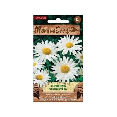 Semínka MoravoSeed Kopretina velkokvětá bílá 31480