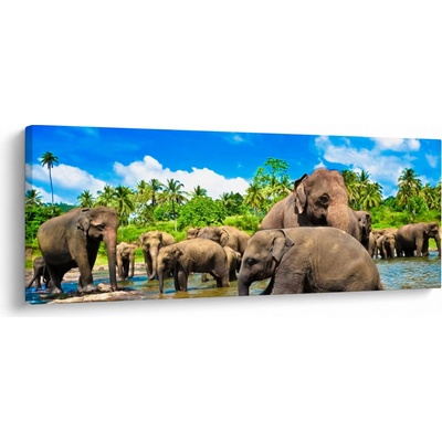 Obraz - Sloni, Sri Lanka, jednodílný 145x58 cm – Hledejceny.cz