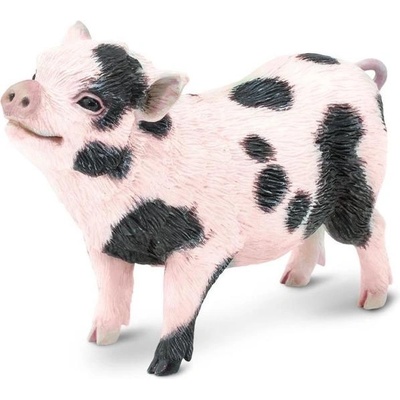 Safari Ltd Safari® Любопитно прасе