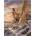Norimpex - Puzzle Diamant painting: Pheasants in winter 30x40cm - 1 - 39 piese