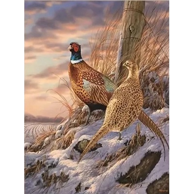 Norimpex - Puzzle Diamant painting: Pheasants in winter 30x40cm - 1 - 39 piese