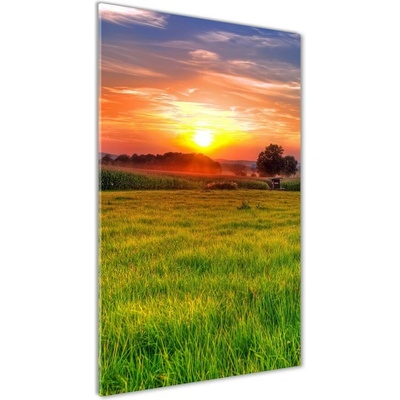 Vertikálny foto obraz sklenený Západ slnka 50x100 cm