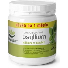Top Green Psyllium 250 ks