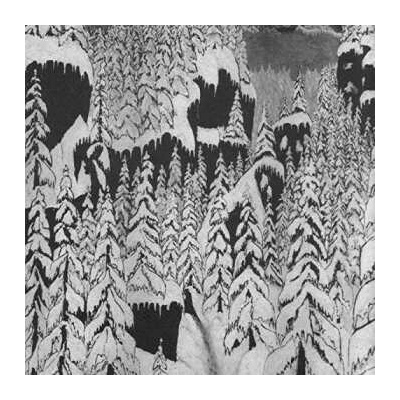 Paysage D'hiver Schattengang CD