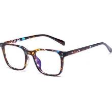 Wayfarer style 2052FL CL