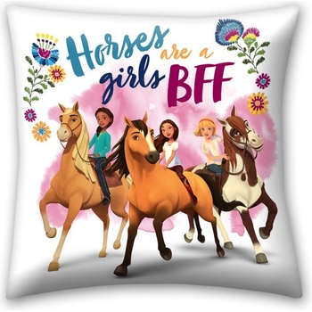 HALANTEX Obojstranný vankúš SPIRIT Wild and FREE SP-024C 40x40