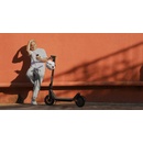 Image 1 of Xiaomi Electric Scooter 4 Lite Gen2 EU (BHR8052GL)