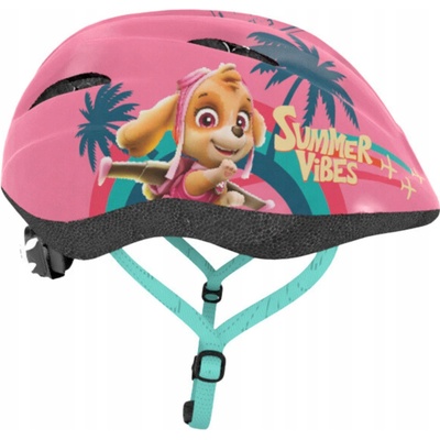 Seven paw patrol girls