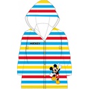 E plus M Mickey Mouse