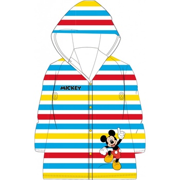 E plus M Mickey Mouse