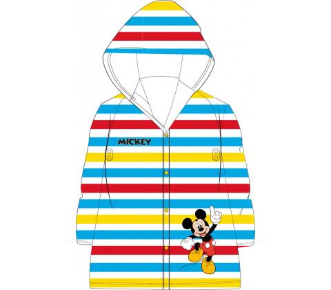 E plus M Mickey Mouse