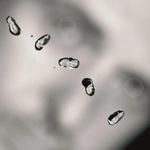 Peter Gabriel - Up (180 g) (2 LP) (0884108004579)